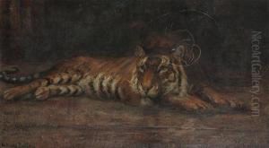 Bengal Tiger (in The Antwerp Zoo)