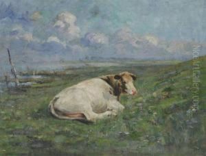 Cow Lying On The River Bank by Henri Van Muyden