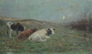 Lying Cows In Moonlight