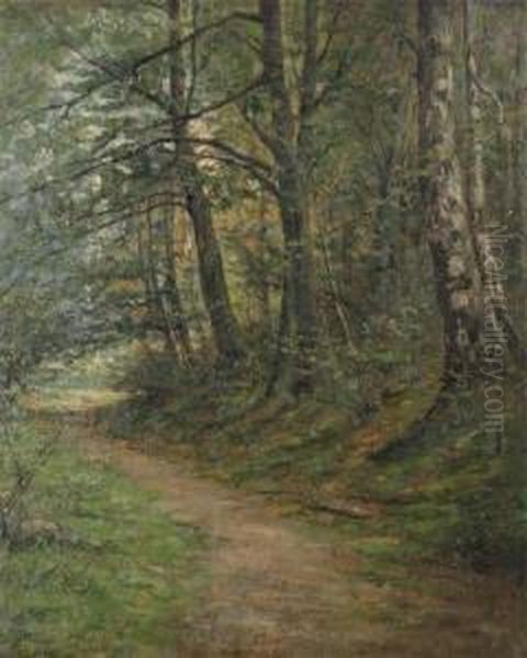 Woodpath - view 1