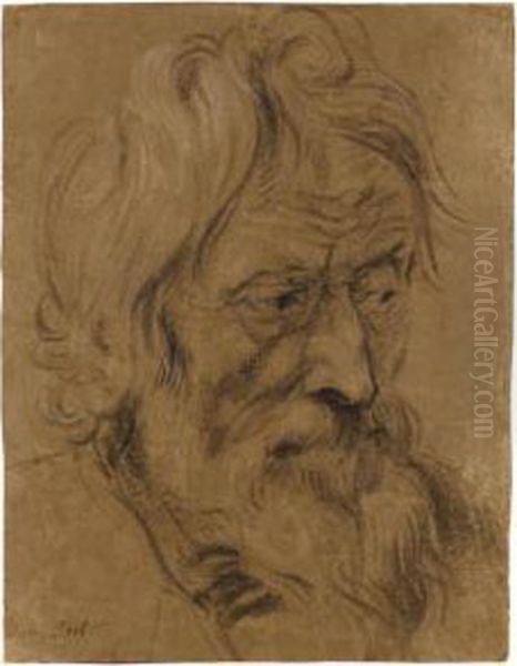 Head Of A Bearded Man, Three Quarters Profile - view 1