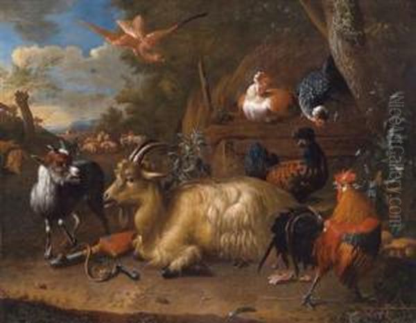 A Billy Goat - view 1