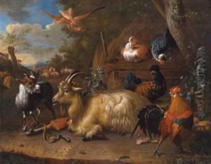 A Billy Goat
