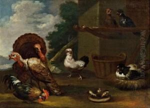 Huhner, Ein Hahn Und Zwei Truthahne by Adriaen van Oolen