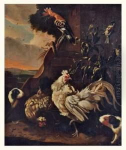 Coq, Poule Et Cochon D'inde by Jan Van Oolen