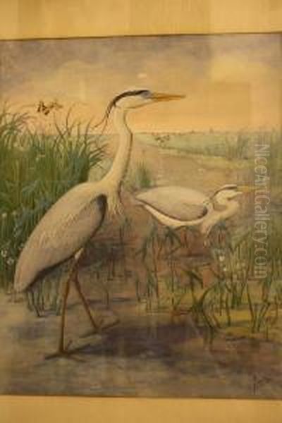 Polderlandschap Met Reigers In De Sloot - view 1