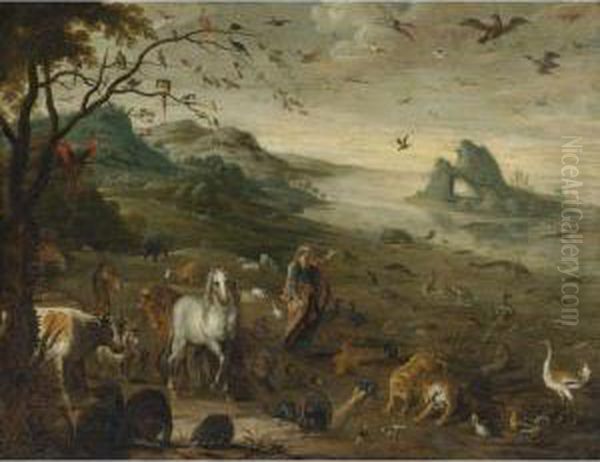 God Creating The Animals Of The World - view 1