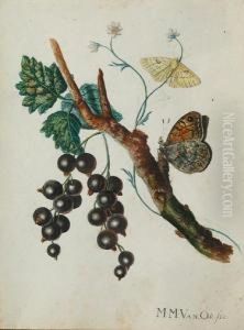 Butterflies And Blackcurrants by Maria Margrita Van Os