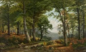 Hirsch Mit Reh Am Waldbach