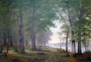 Chevrette Et Son Petit En Sous-bois