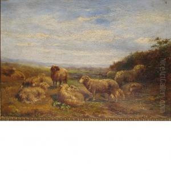 Sheep In A Landscape - view 1