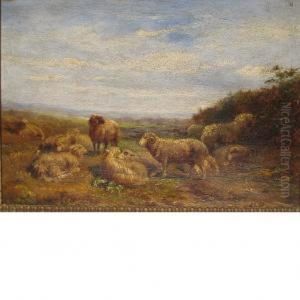 Sheep In A Landscape