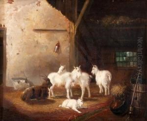 Stalla Con Capre by Jan Van Ravenswaay