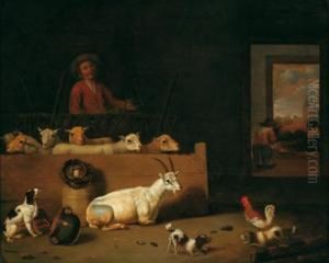 Interno Di Un Granaio Con Cani