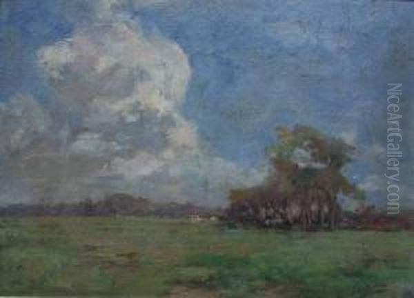 Weidelandschaft An Einem Sommertag - view 1