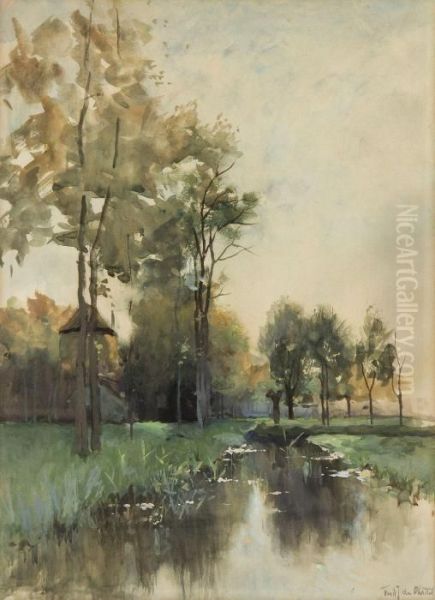 Trees In A Marsh - view 1