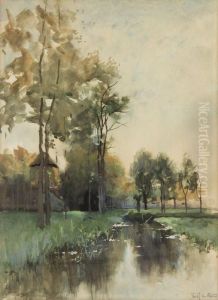 Trees In A Marsh