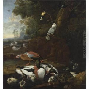 Wild Ducks, Geese, Two Doves, A Swallow And A Great Tit In A Landscape