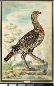 Study Of A Grouse Or Ptarmigan In A Landscape