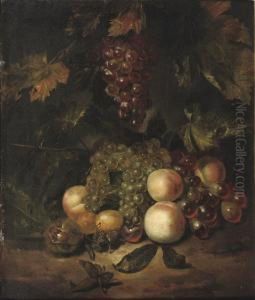 Black And White Grapes, Peaches, Plums, Chest- And Hazelnuts On A Forest Floor by Willem Frederik van Royen