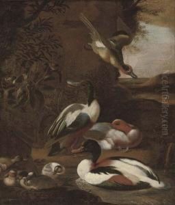 Ducks In A Landscape by Willem Frederik van Royen
