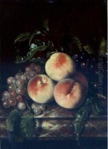 Still Life Of Grapes And Peaches On A Marble Ledge by Willem Frederik van Royen