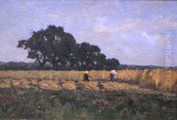 Getreideernte - view 1