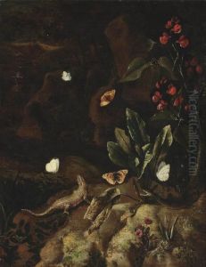 A Forest Floor With A Snake
