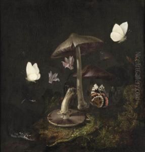 A 'sotto Bosco' by Otto Marseus Snuff. Van Schrieck