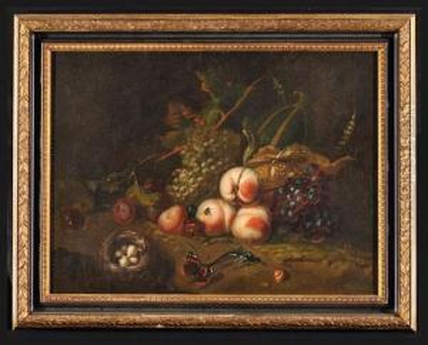 Natura Morta Con Frutta, Nido Con Uova E Farfalle - view 1