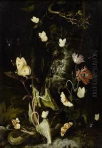 Forest Still Life With Butterflies, Snake, Frog And Dragon Fly by Otto Marseus Snuff. Van Schrieck
