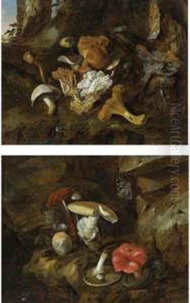 Forest Floor Still Lifes With Mushrooms, Butterflies And Asnake - view 1