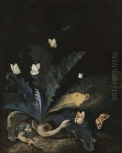 Sous-bois Anime De Papillons by Otto Marseus Snuff. Van Schrieck