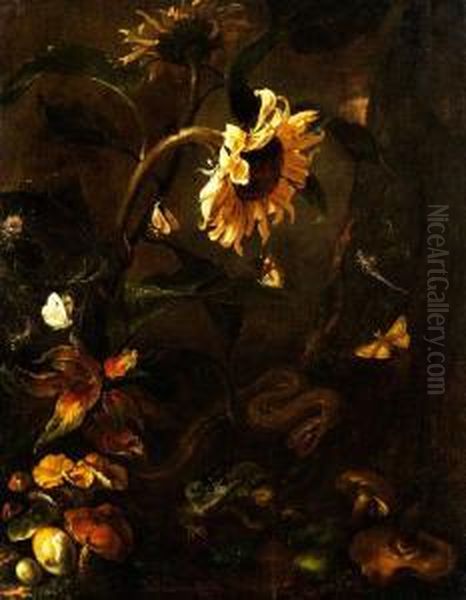 Stilleben Mit Sonnenblume, Schlange,krote, Insekten Und Pilzen - view 1