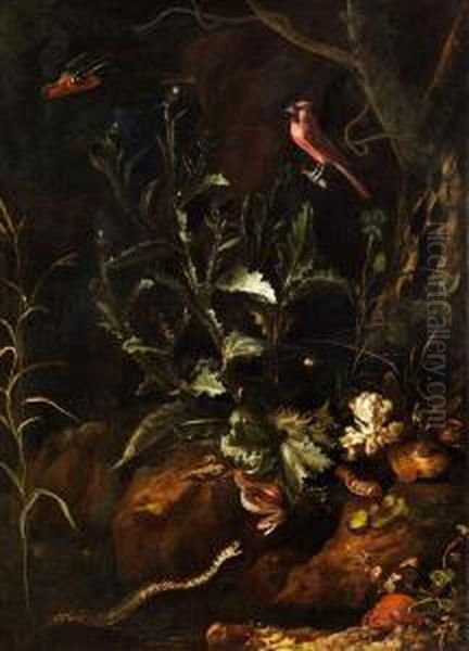 Grosses Stilleben Mit Zwei Schlangen, Krote, Spinne Und Anderenkleintieren - view 1