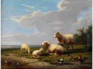 Weite Fruhlingslandschaft Mit Schaffamilie Sowie Huhnern Und Enten