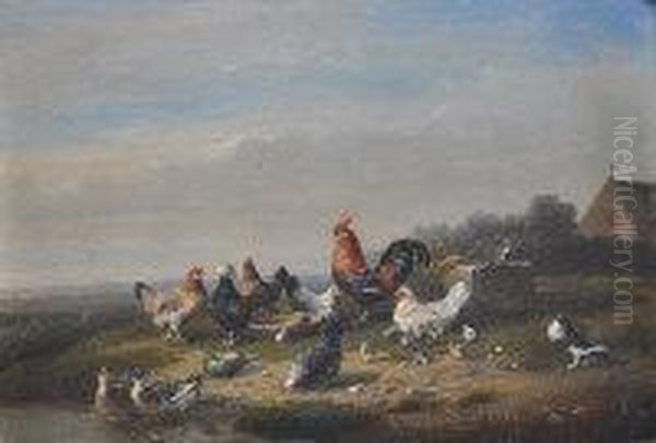 Poultry In The Farmyard - view 1