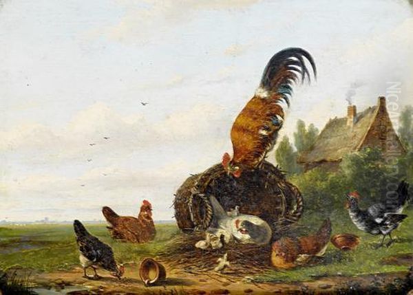 Farmyard Fowl - view 1