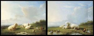 Paysages Avec Moutons Et Poules