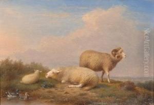 Study Of A Ram, Ewe, And A Lamb On A
Moorland Rise by Francois Van Severdouk
