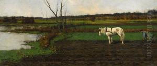 Tilling The Field - view 1