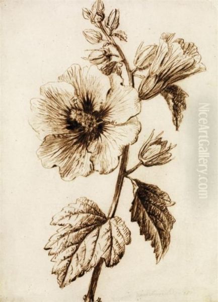 Etude De Fleur - view 1