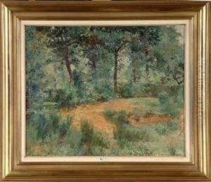Clairiere by Guillaume Van Strydonck