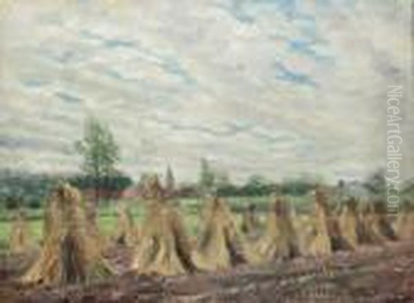 Hooimijten - view 1