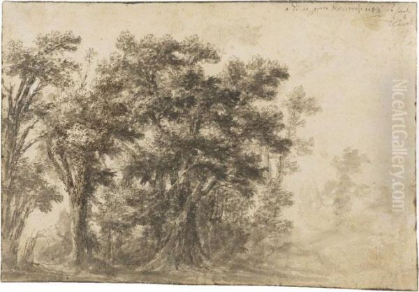 Wooded Landscape - view 1