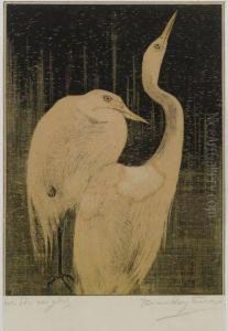 Four Etchings Depicting Birds by Theodorus Van Hoytema