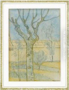 Birch Tree