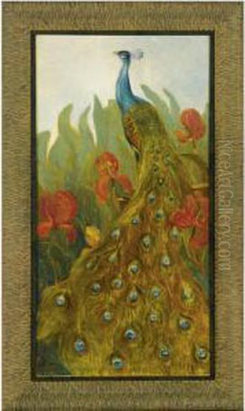Peacock - view 1