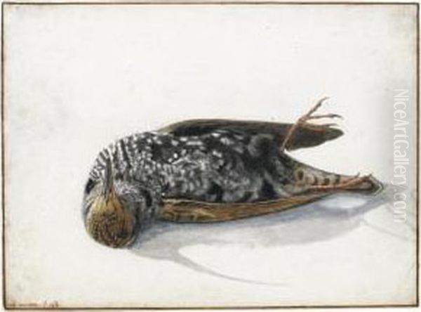 A Dead Starling - view 1
