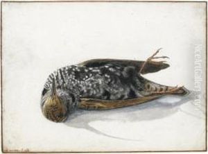 A Dead Starling by Rochus Van Veen